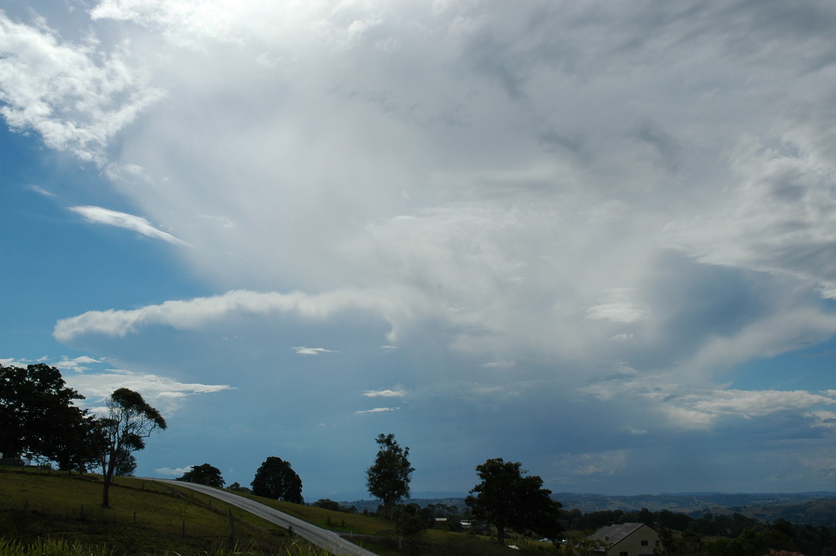 anvil thunderstorm_anvils : McLeans Ridges, NSW   21 October 2004