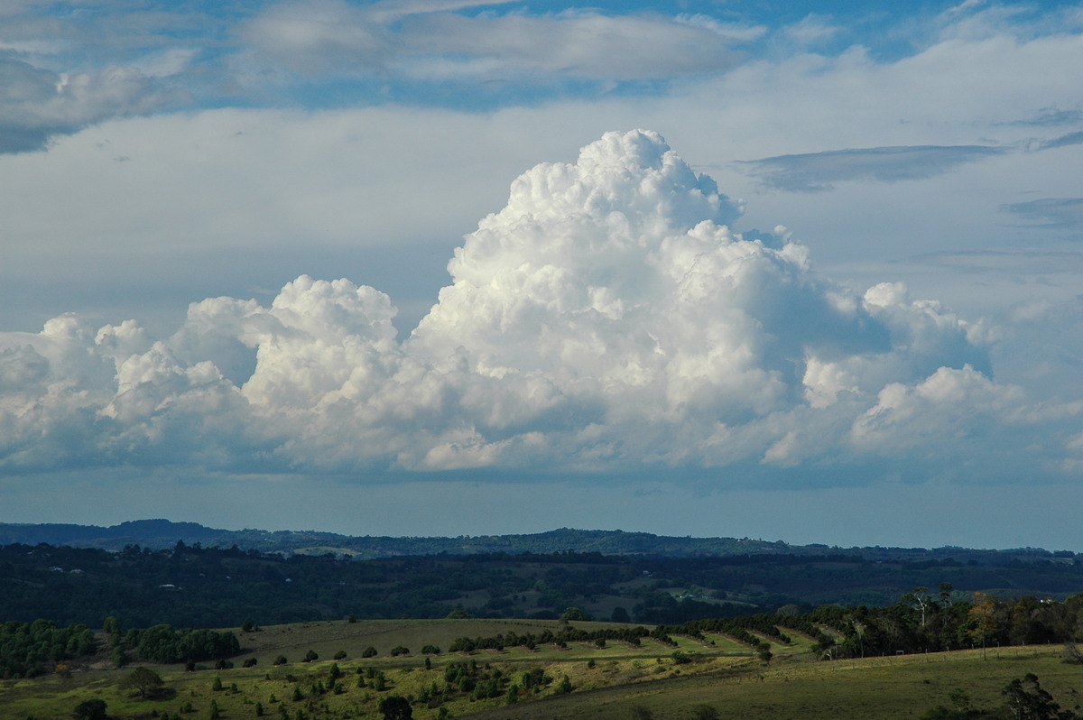 cumulus mediocris : McLeans Ridges, NSW   21 October 2004