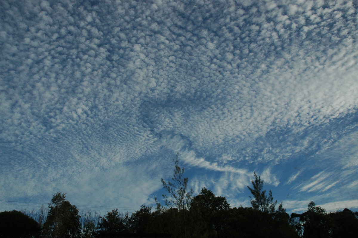 altocumulus mackerel_sky : McLeans Ridges, NSW   22 October 2004