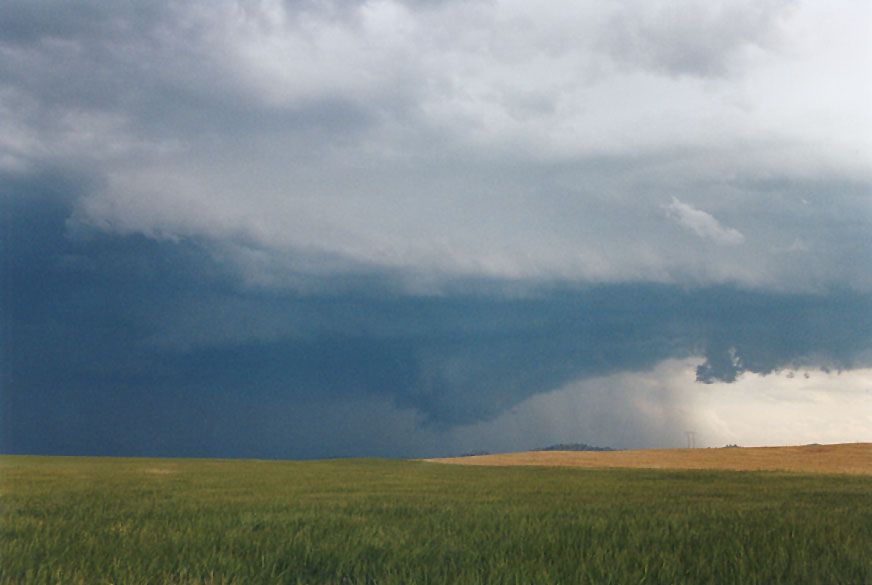 wallcloud thunderstorm_wall_cloud : Gulgong, NSW   24 October 2004