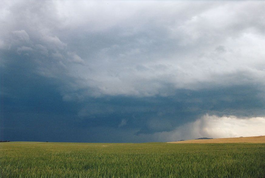 wallcloud thunderstorm_wall_cloud : Gulgong, NSW   24 October 2004