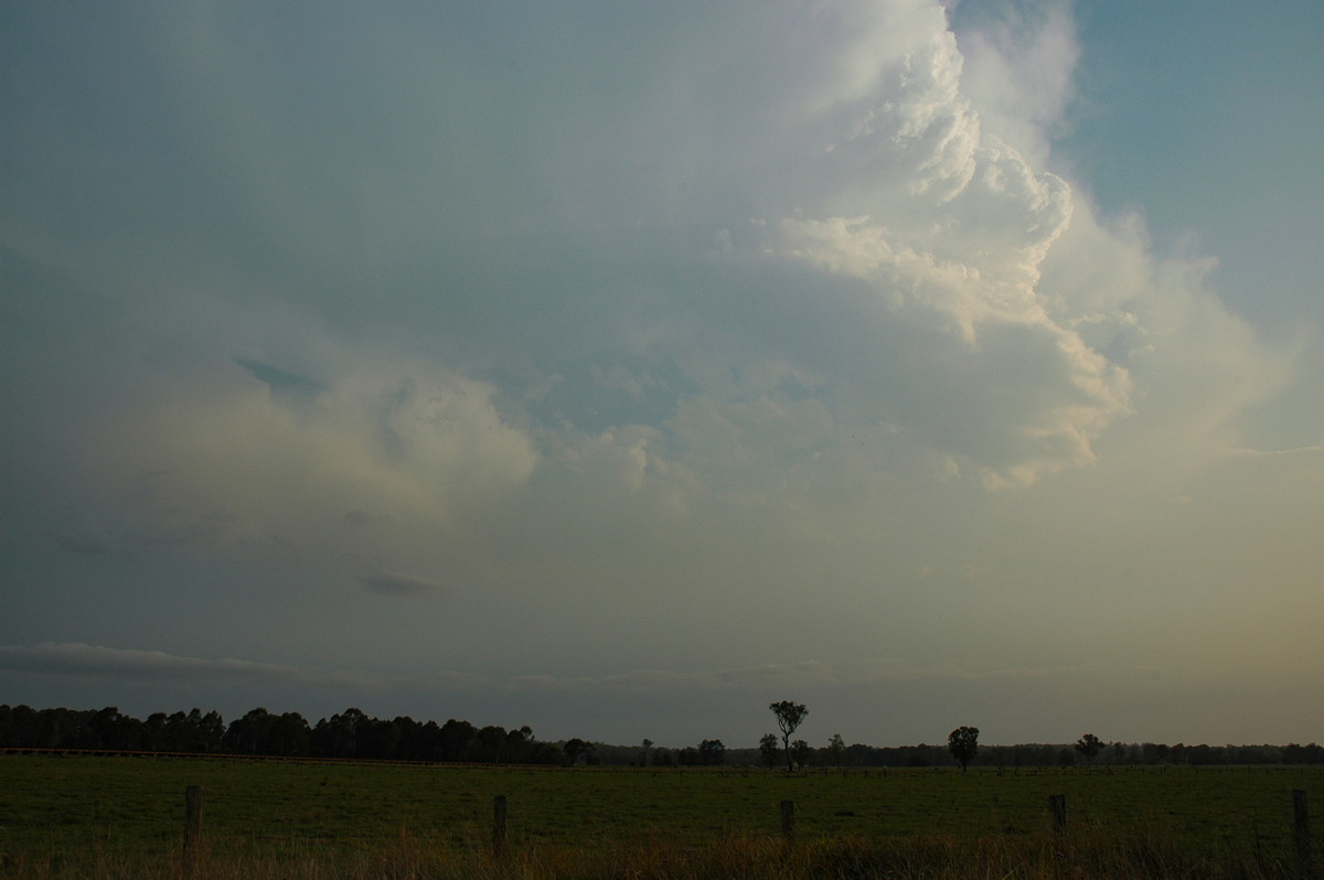 updraft thunderstorm_updrafts : Casino, NSW   24 October 2004