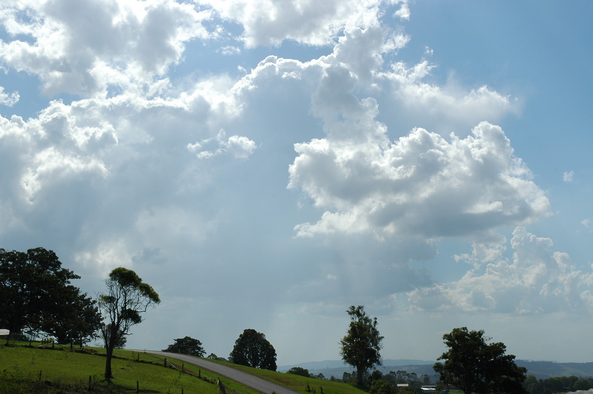 cumulus congestus : McLeans Ridges, NSW   4 November 2004