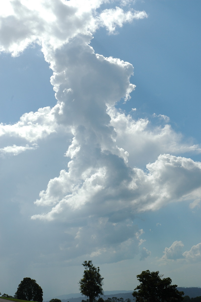 cumulus congestus : McLeans Ridges, NSW   4 November 2004