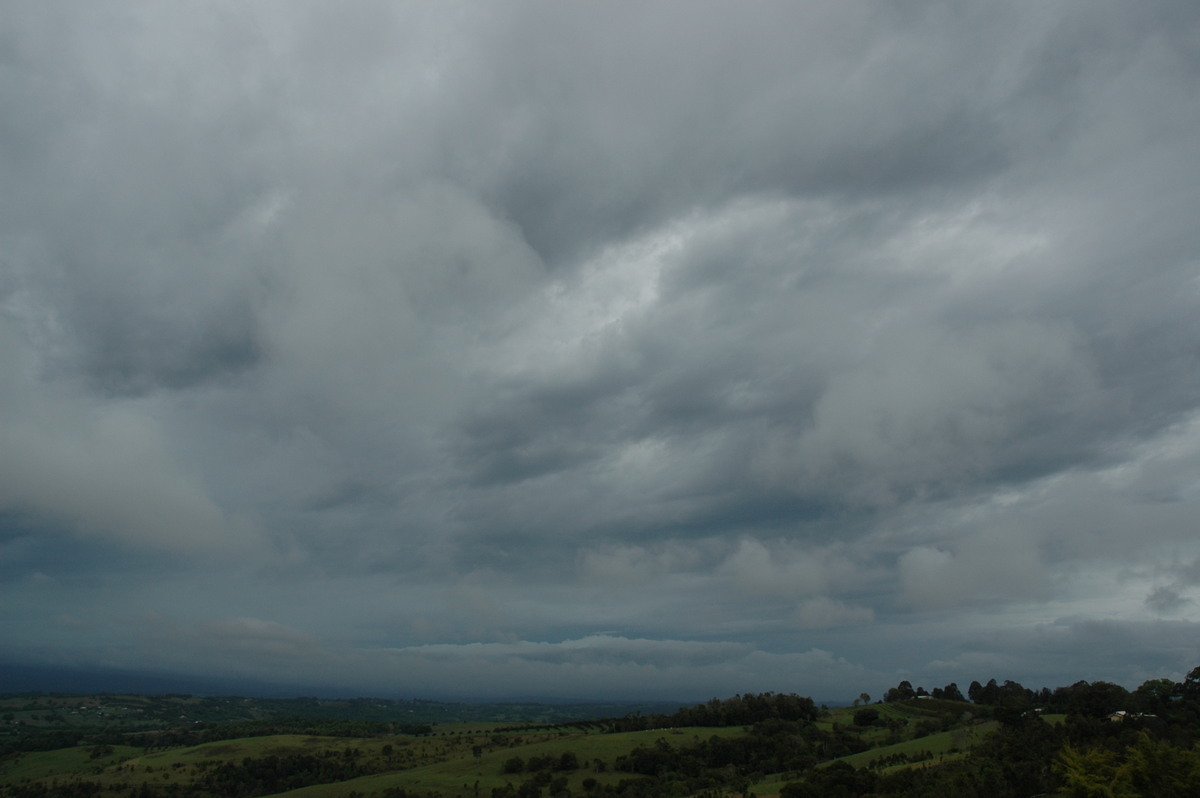 stratus stratus_cloud : McLeans Ridges, NSW   7 November 2004