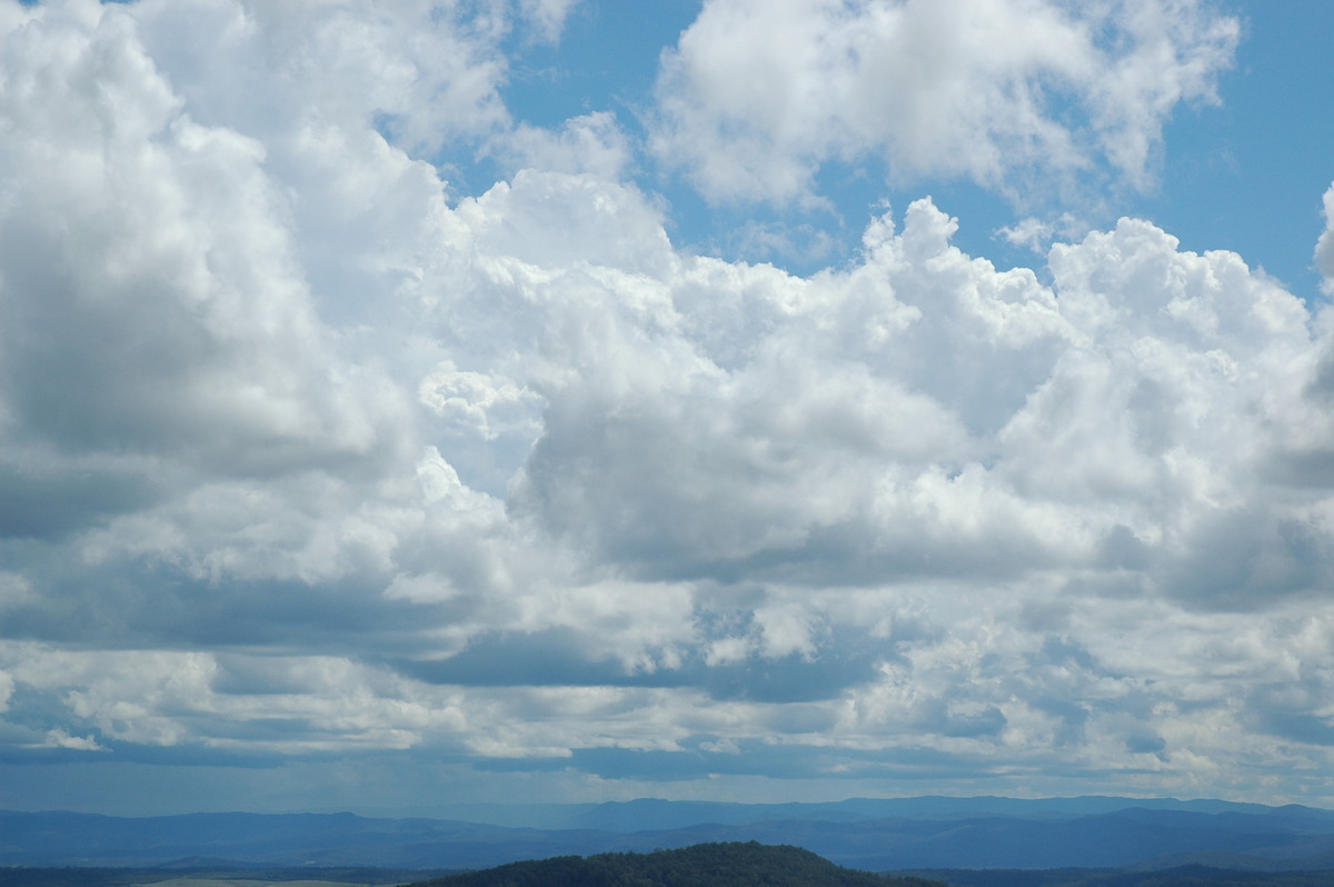 cumulus congestus : Mallanganee NSW   9 November 2004