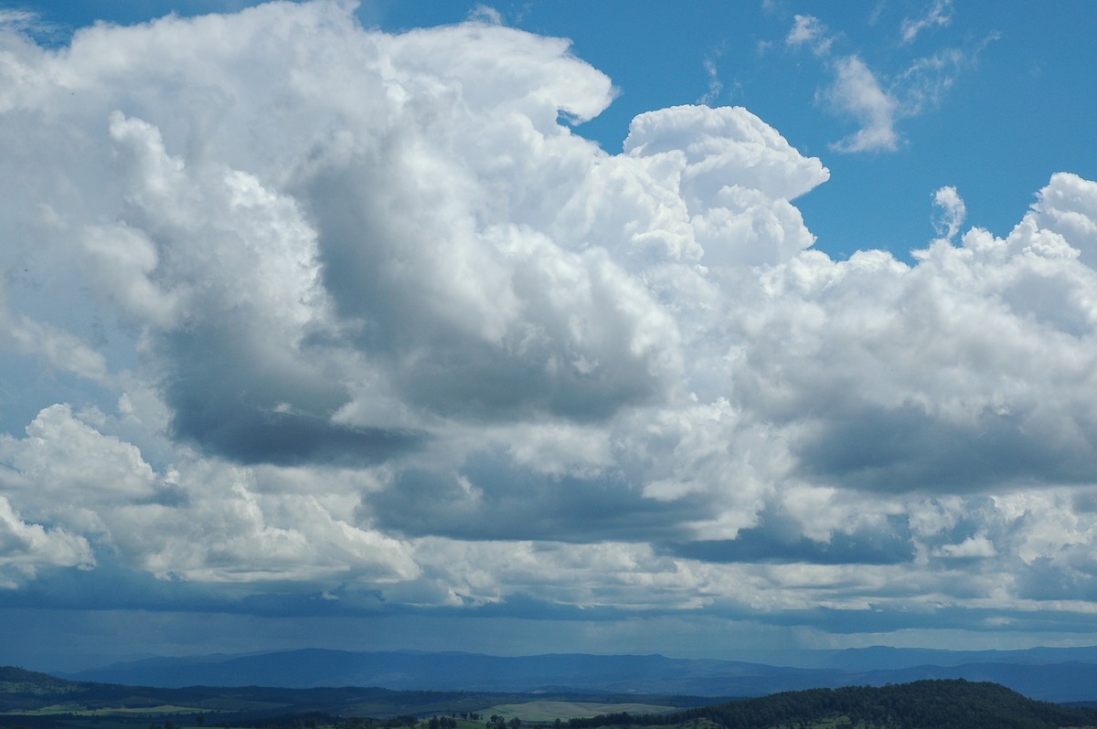 thunderstorm cumulonimbus_calvus : Mallanganee NSW   9 November 2004