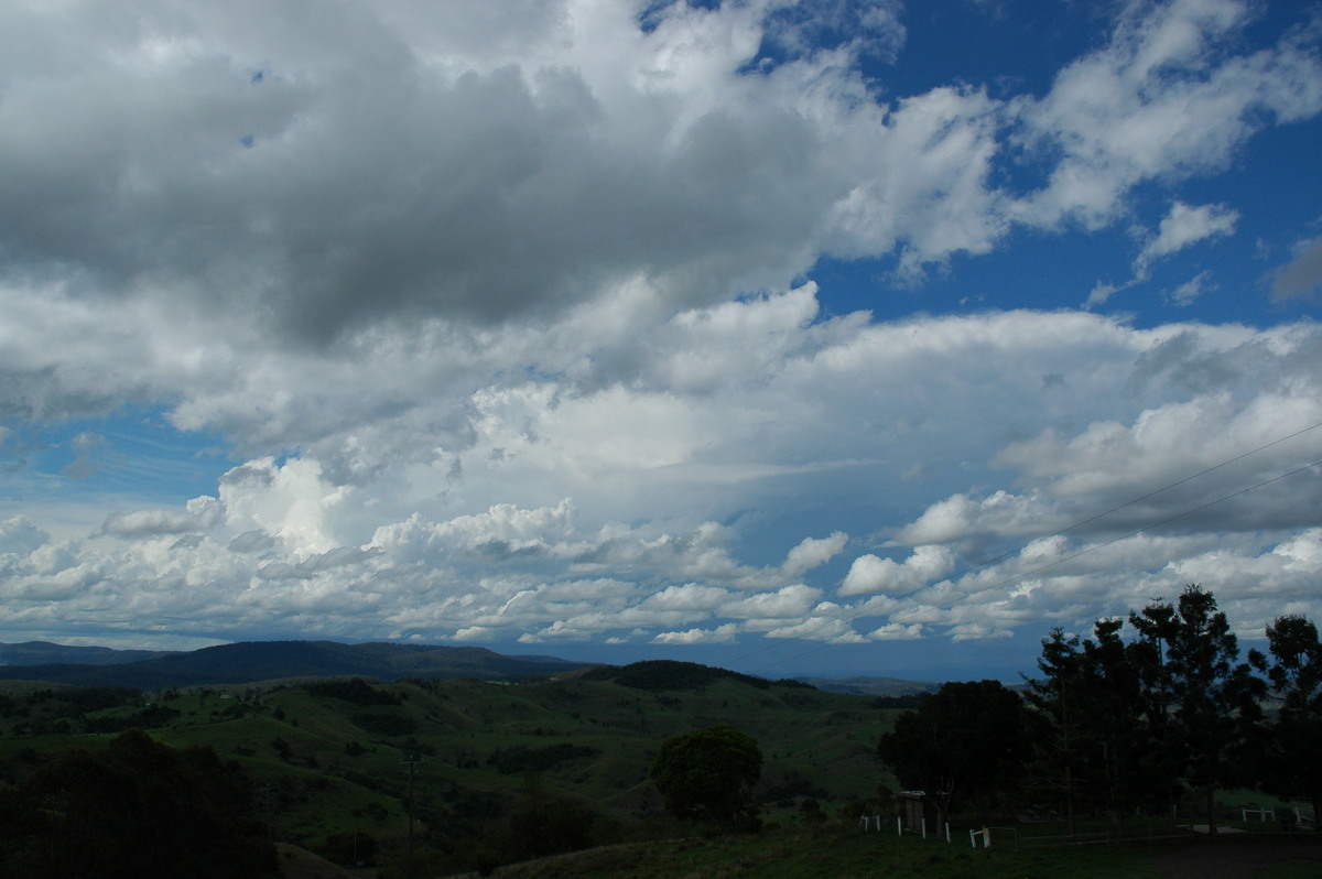 cumulus humilis : Mallanganee NSW   9 November 2004