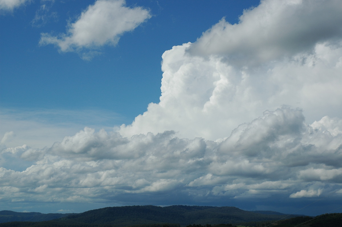 cumulus mediocris : Mallanganee NSW   9 November 2004