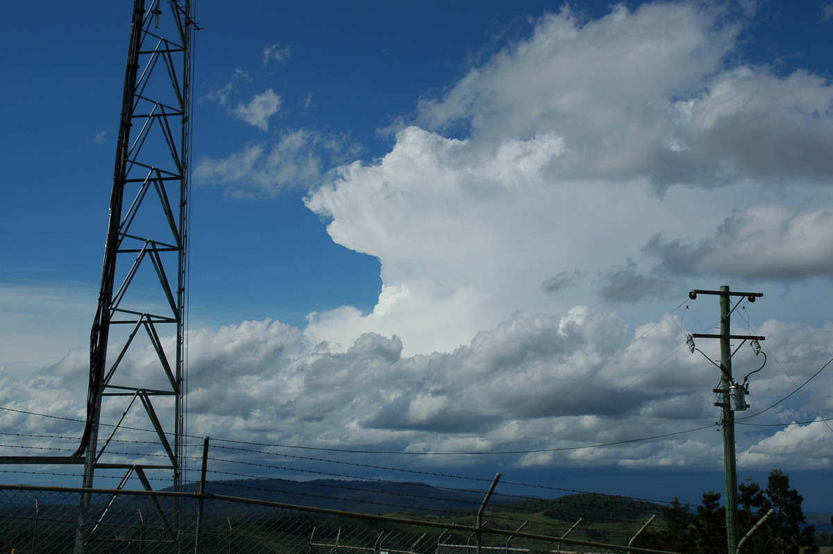 cumulus mediocris : Mallanganee NSW   9 November 2004