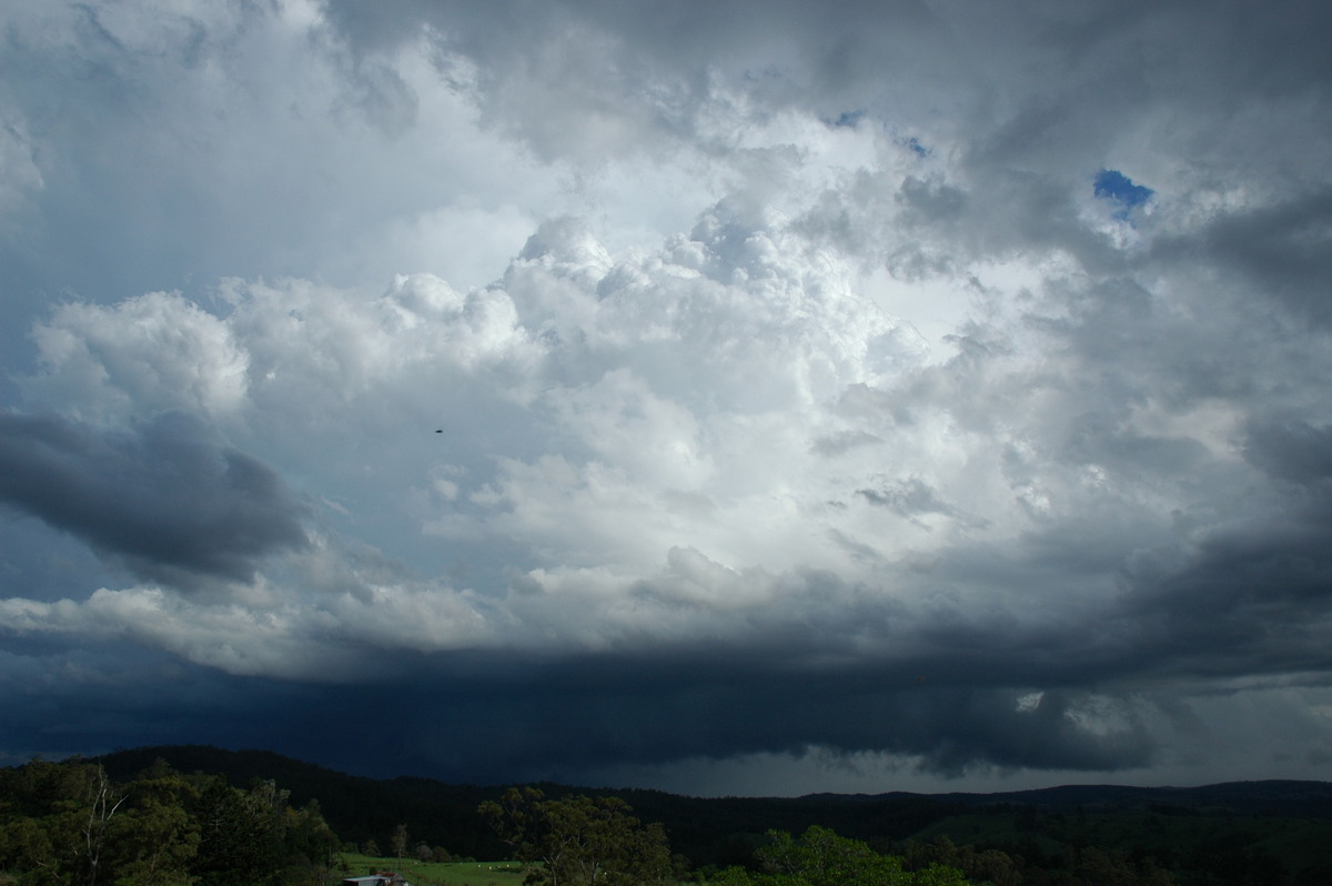 updraft thunderstorm_updrafts : Mallanganee NSW   9 November 2004