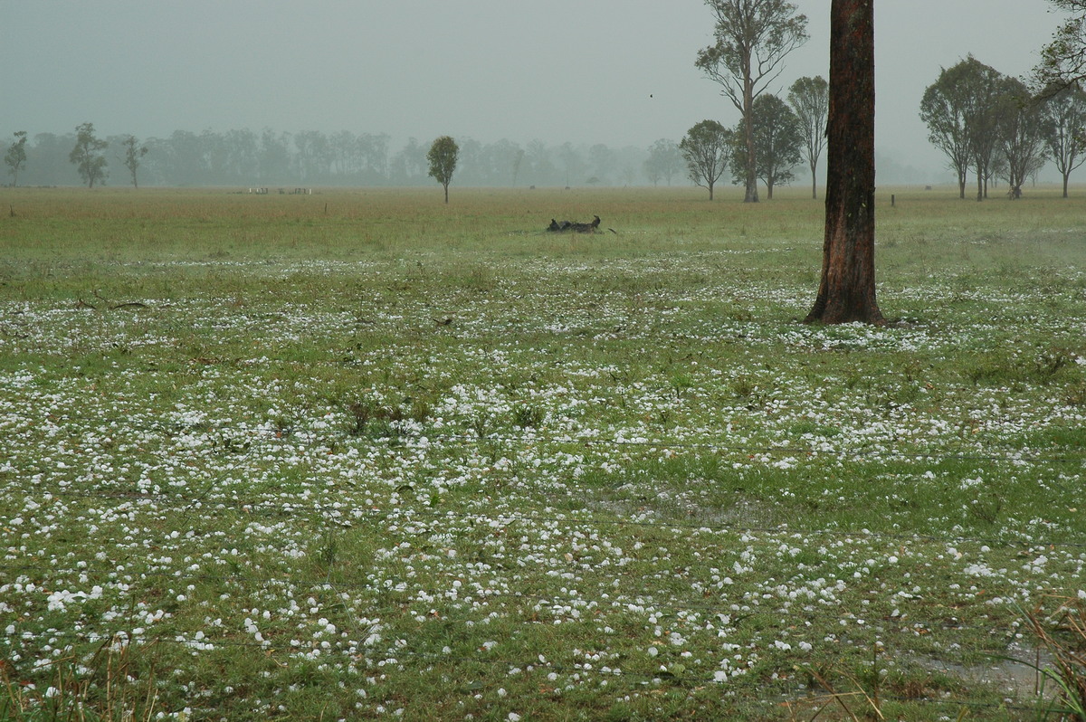 favourites michael_bath : Leeville, NSW   9 November 2004