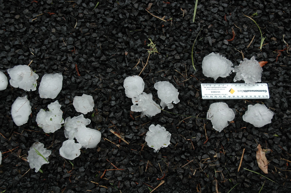 hailstones hail_stones : Leeville, NSW   9 November 2004