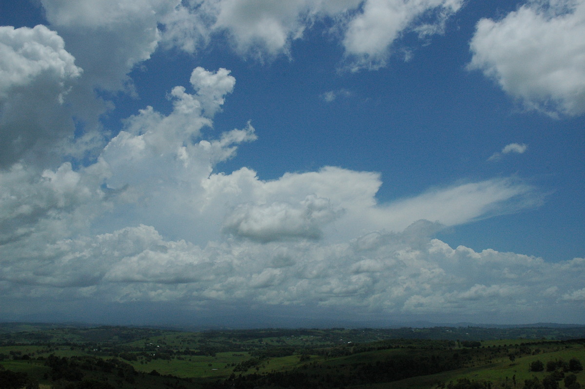 thunderstorm cumulonimbus_incus : McLeans Ridges, NSW   17 November 2004