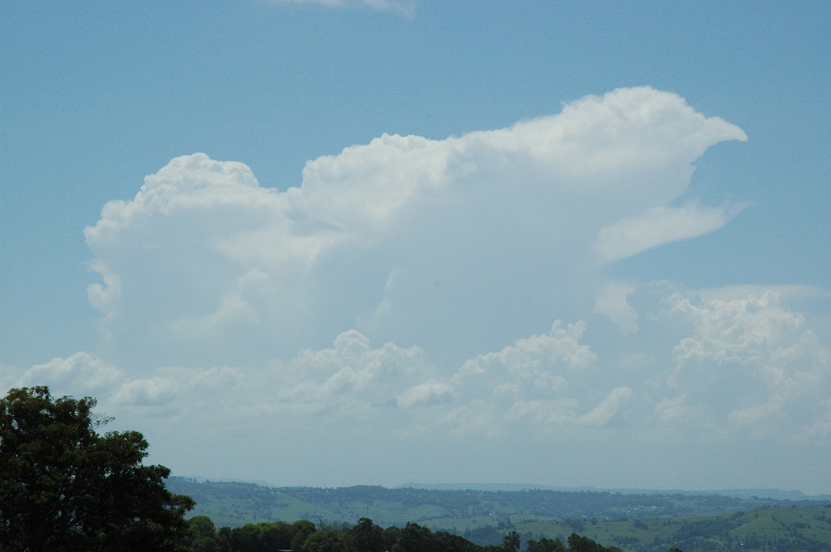 thunderstorm cumulonimbus_incus : McLeans Ridges, NSW   17 November 2004