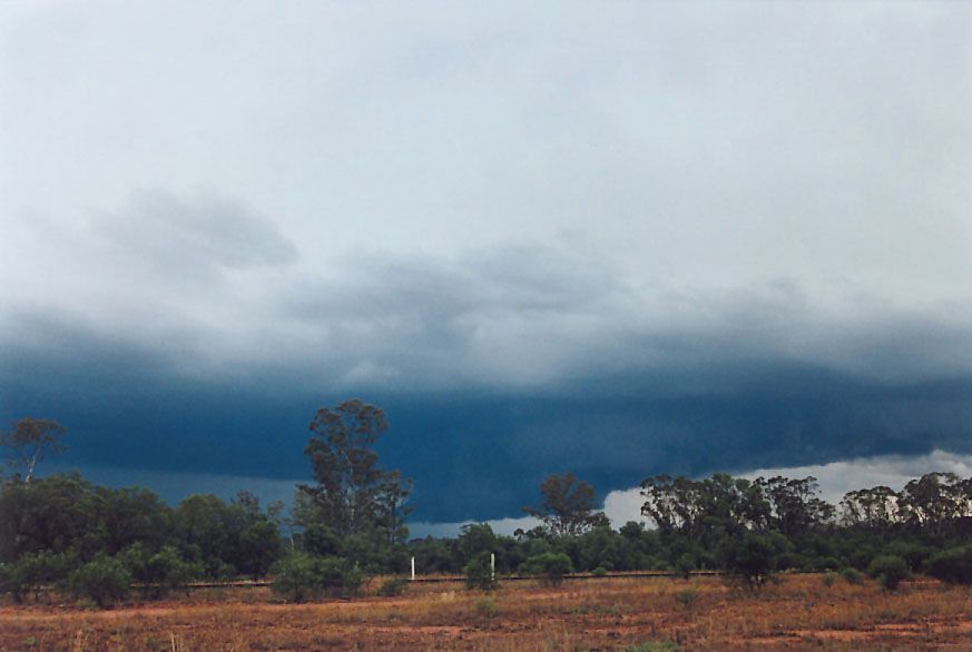 cumulonimbus supercell_thunderstorm : 20km W of Nyngan, NSW   7 December 2004
