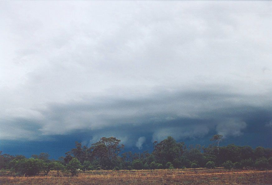 wallcloud thunderstorm_wall_cloud : 20km W of Nyngan, NSW   7 December 2004