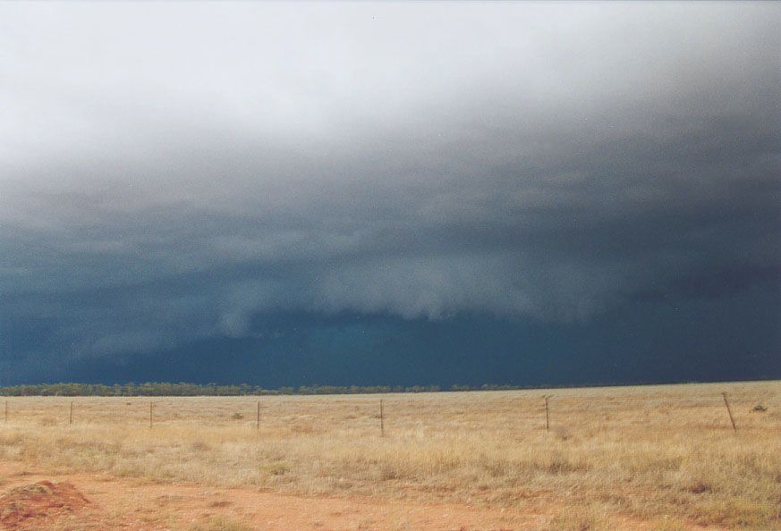 shelfcloud shelf_cloud : 20km W of Nyngan, NSW   7 December 2004