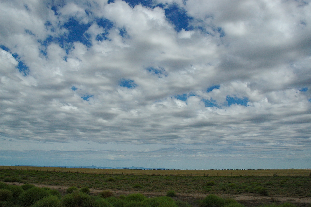 altocumulus castellanus : Coonamble, NSW   7 December 2004