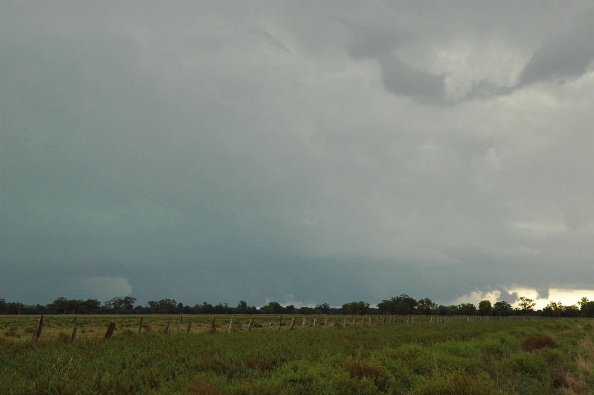 wallcloud thunderstorm_wall_cloud : Quambone, NSW   7 December 2004