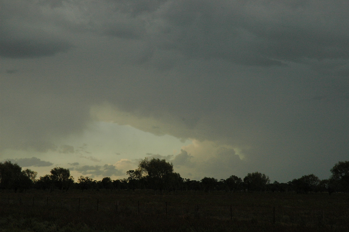 anvil thunderstorm_anvils : Quambone, NSW   7 December 2004