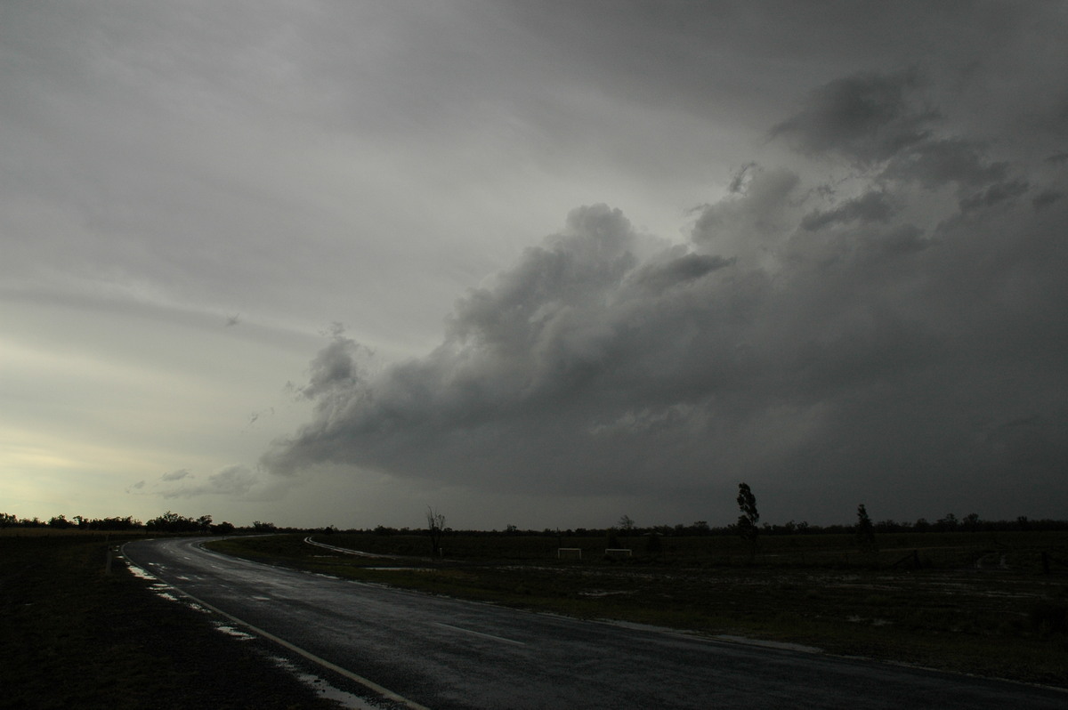 cumulus congestus : Coonamble, NSW   7 December 2004