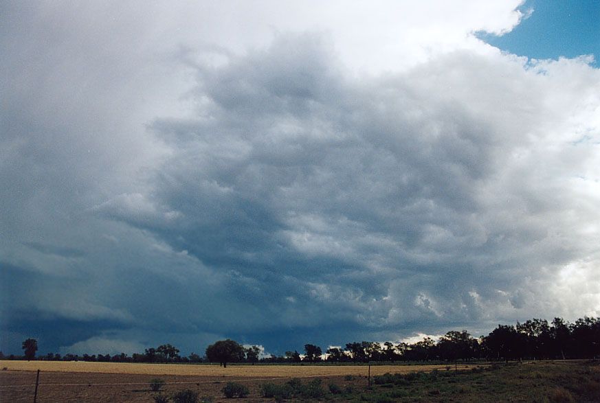 cumulonimbus supercell_thunderstorm : 40km SW of Walgett, NSW   8 December 2004