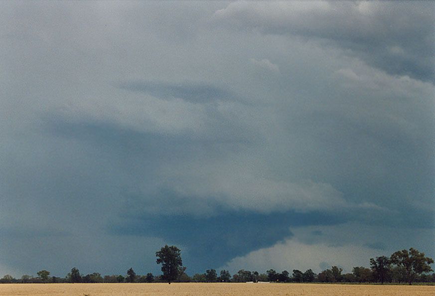 cumulonimbus supercell_thunderstorm : 40km SW of Walgett, NSW   8 December 2004