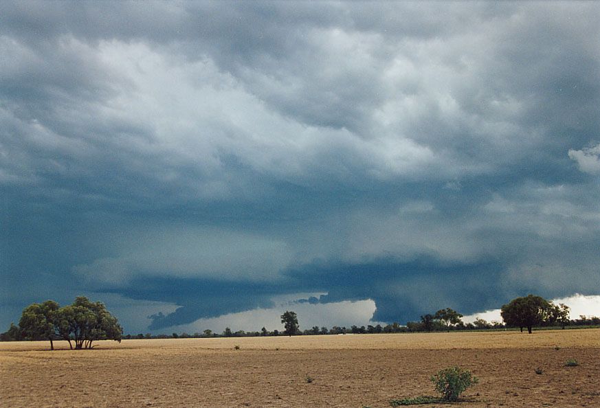 wallcloud thunderstorm_wall_cloud : 40km SW of Walgett, NSW   8 December 2004