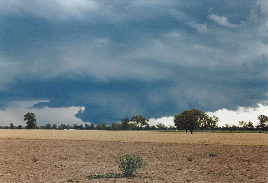 wallcloud thunderstorm_wall_cloud : 40km SW of Walgett, NSW   8 December 2004