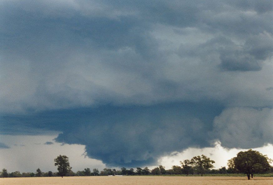 cumulonimbus supercell_thunderstorm : 40km SW of Walgett, NSW   8 December 2004