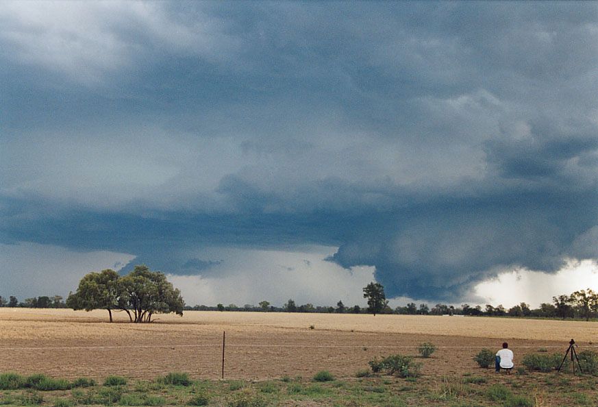 cumulonimbus thunderstorm_base : 40km SW of Walgett, NSW   8 December 2004