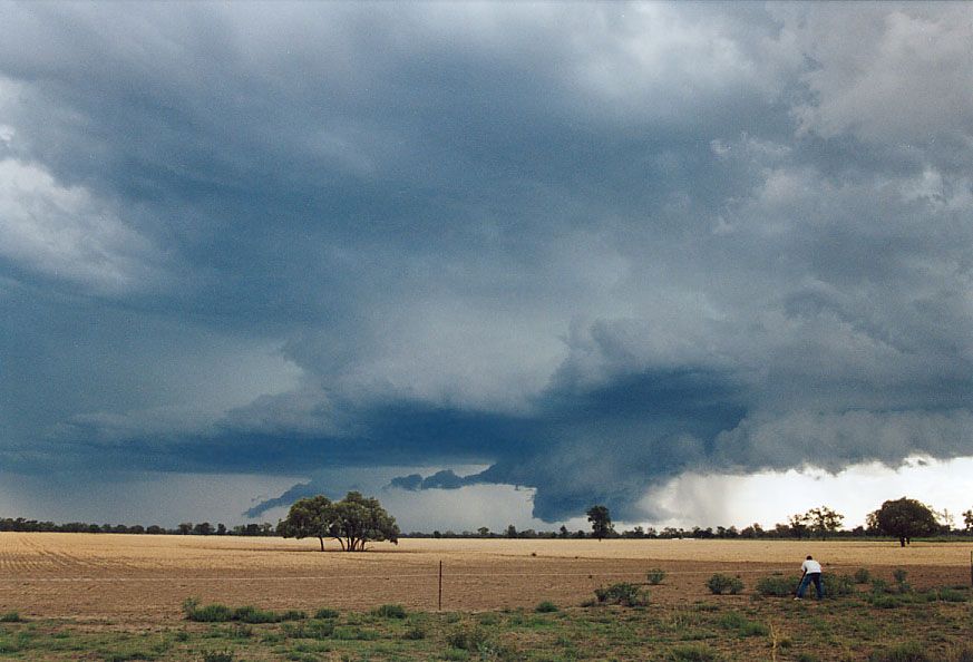 wallcloud thunderstorm_wall_cloud : 40km SW of Walgett, NSW   8 December 2004