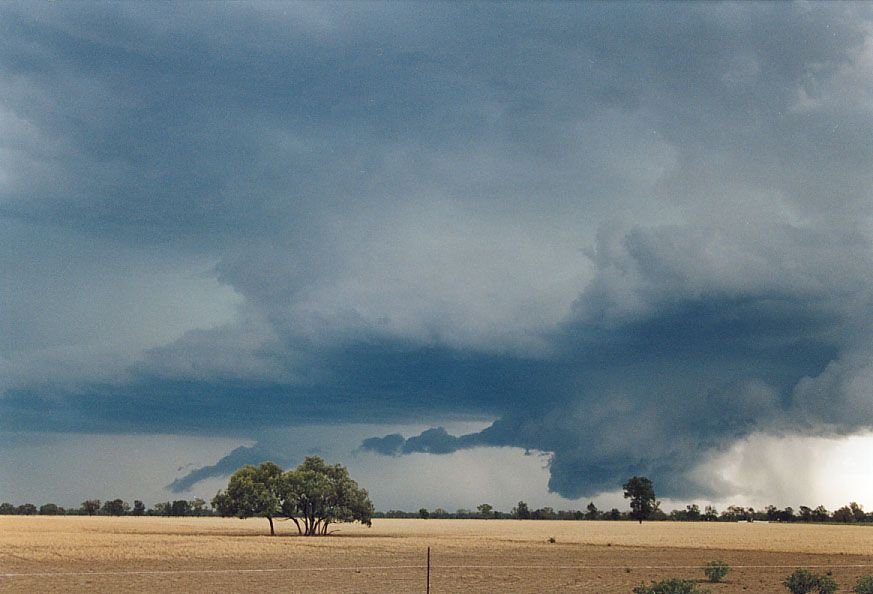 wallcloud thunderstorm_wall_cloud : 40km SW of Walgett, NSW   8 December 2004