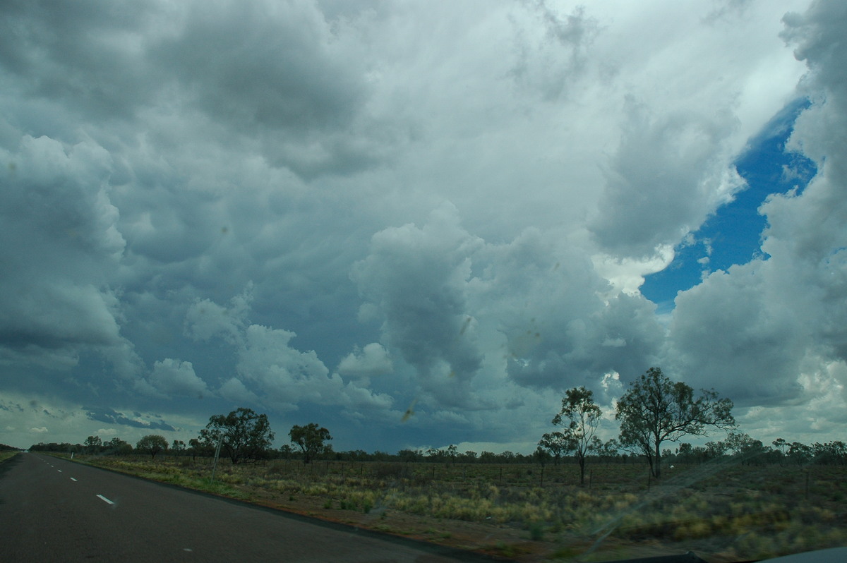 thunderstorm cumulonimbus_incus : W of Walgett, NSW   8 December 2004