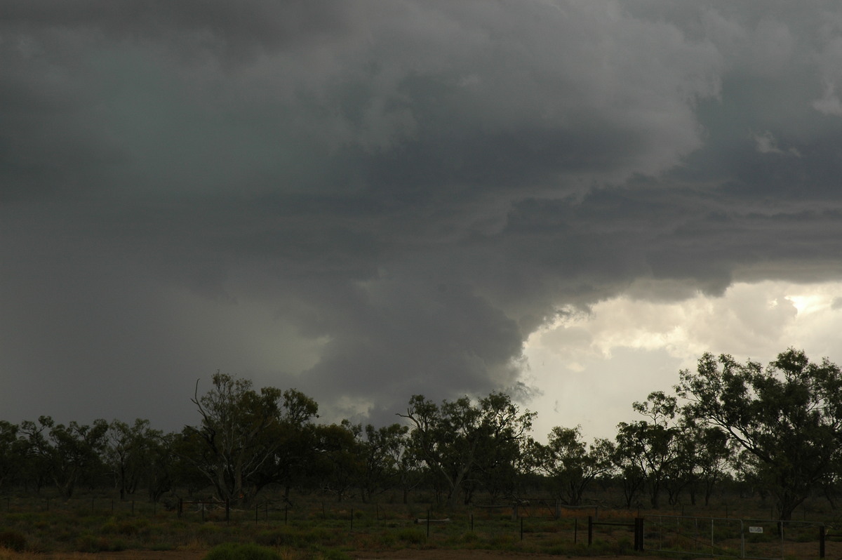 wallcloud thunderstorm_wall_cloud : W of Walgett, NSW   8 December 2004