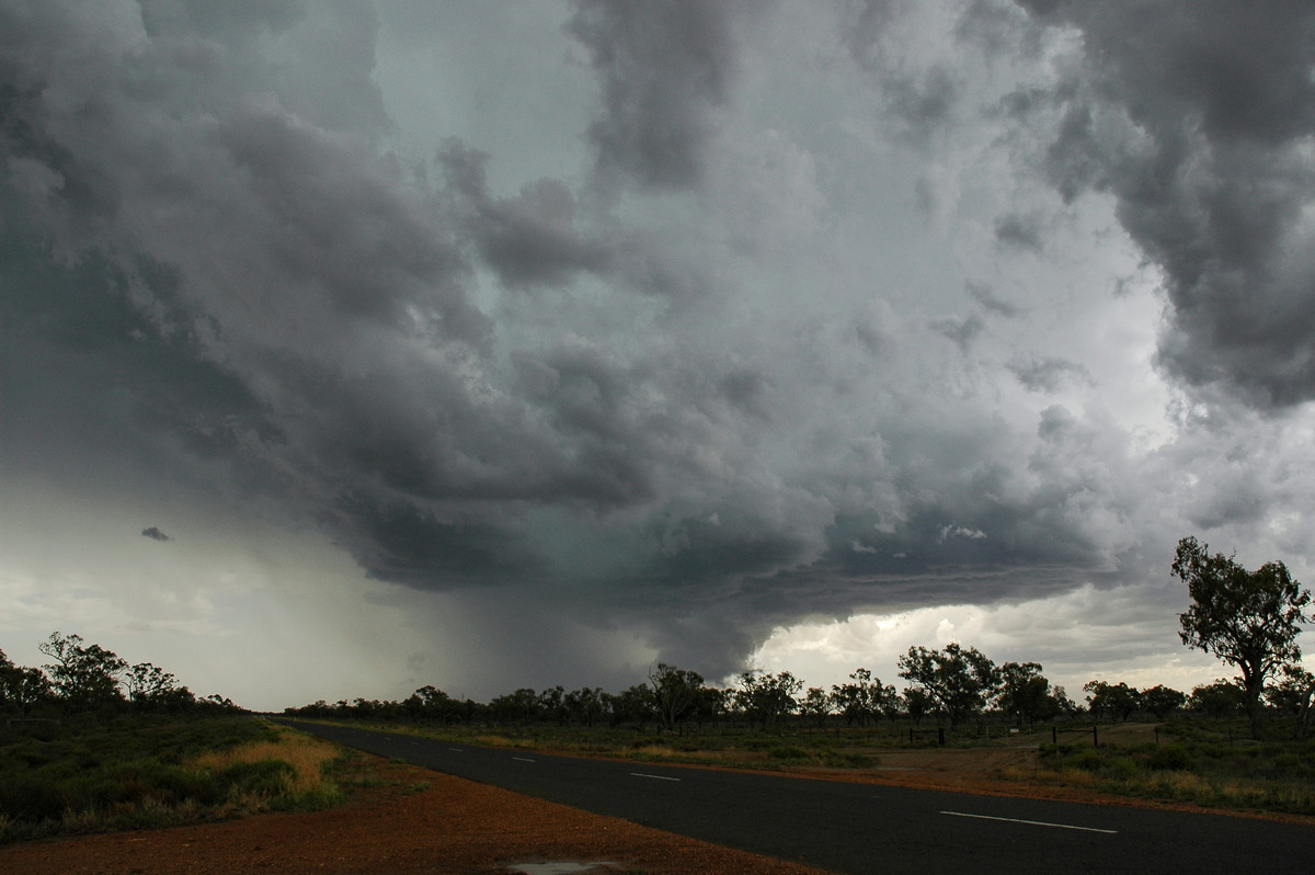 wallcloud thunderstorm_wall_cloud : W of Walgett, NSW   8 December 2004