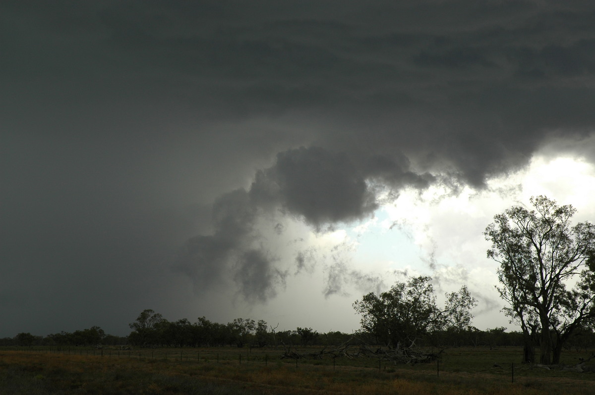 raincascade precipitation_cascade : W of Walgett, NSW   8 December 2004