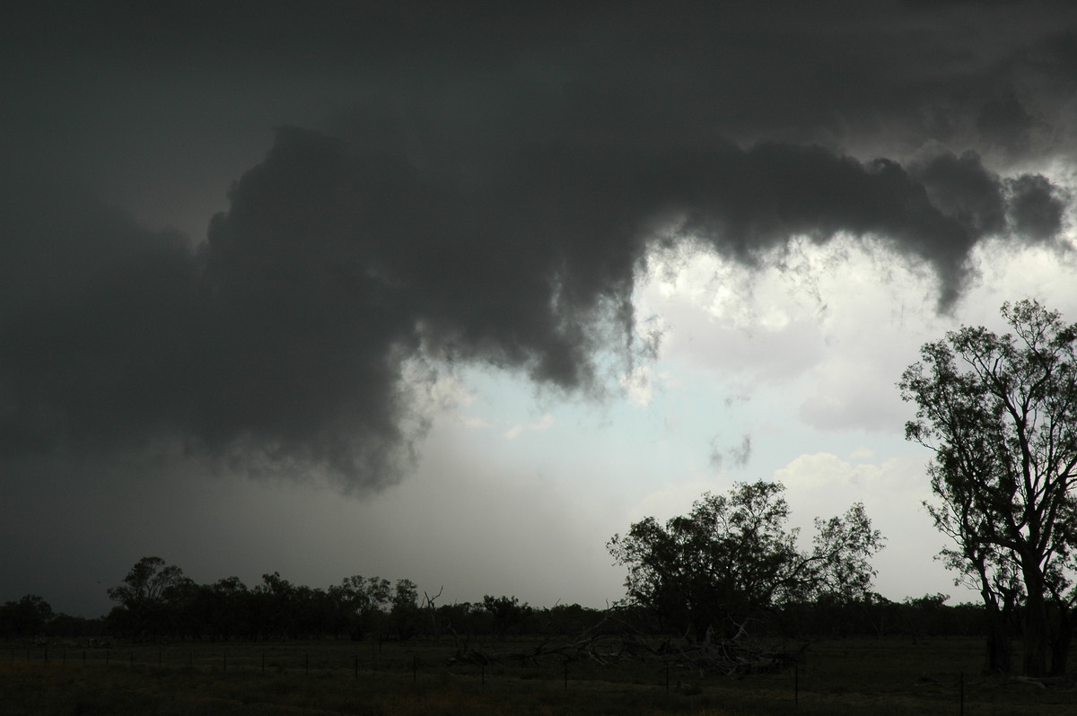 wallcloud thunderstorm_wall_cloud : W of Walgett, NSW   8 December 2004