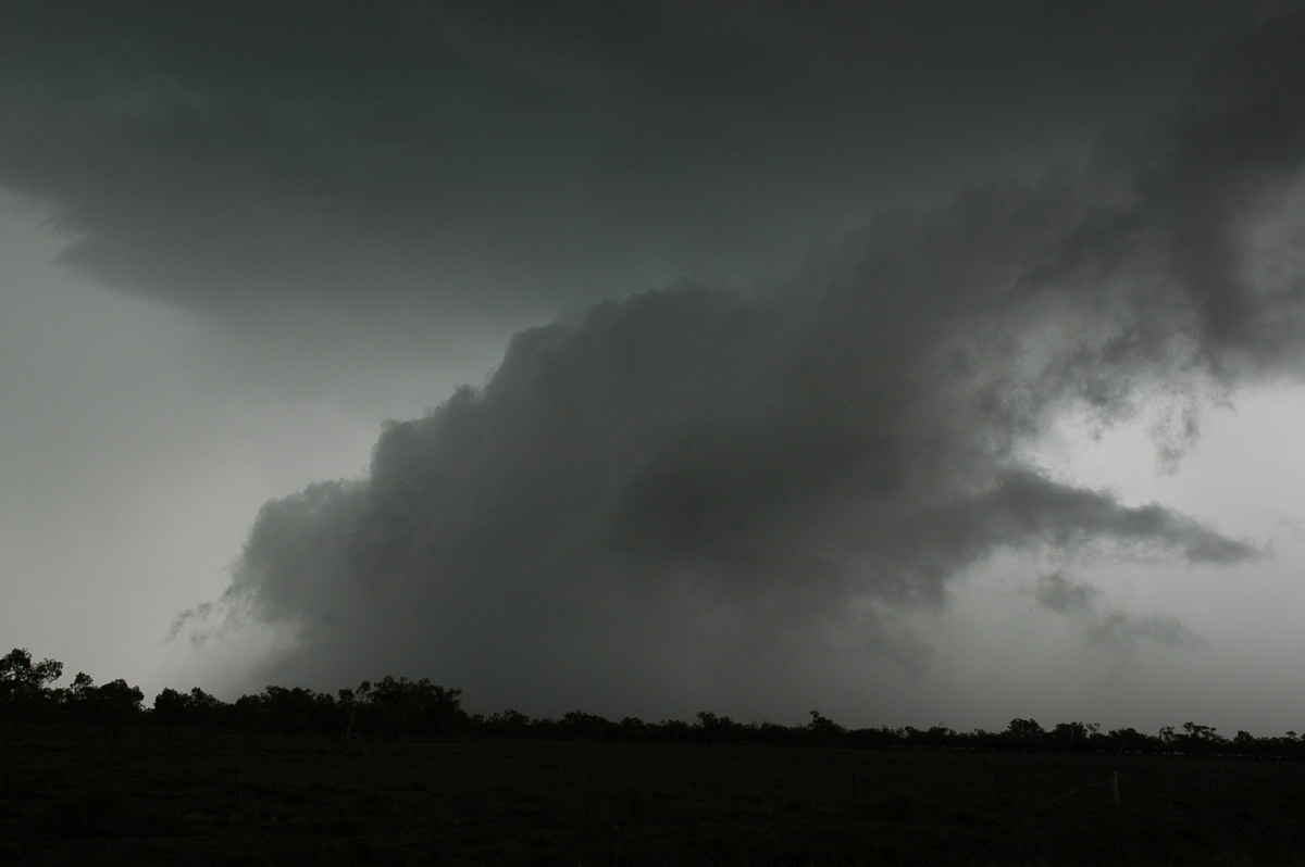 wallcloud thunderstorm_wall_cloud : W of Walgett, NSW   8 December 2004