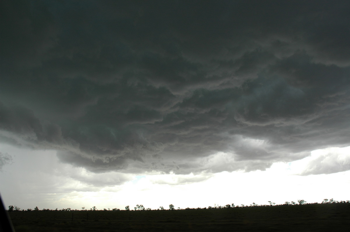 cumulonimbus thunderstorm_base : W of Walgett, NSW   8 December 2004