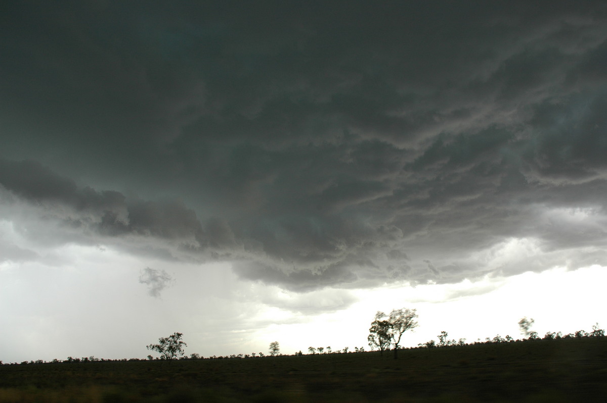 cumulonimbus thunderstorm_base : W of Walgett, NSW   8 December 2004