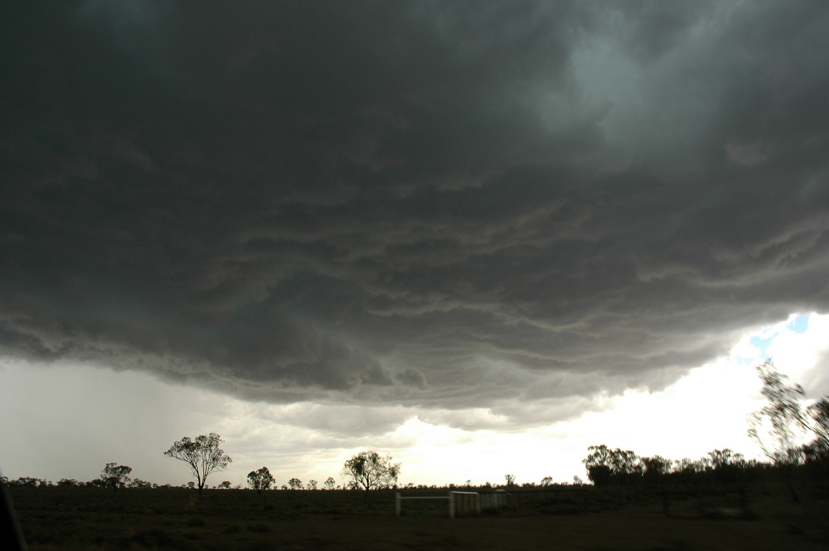 cumulonimbus thunderstorm_base : W of Walgett, NSW   8 December 2004