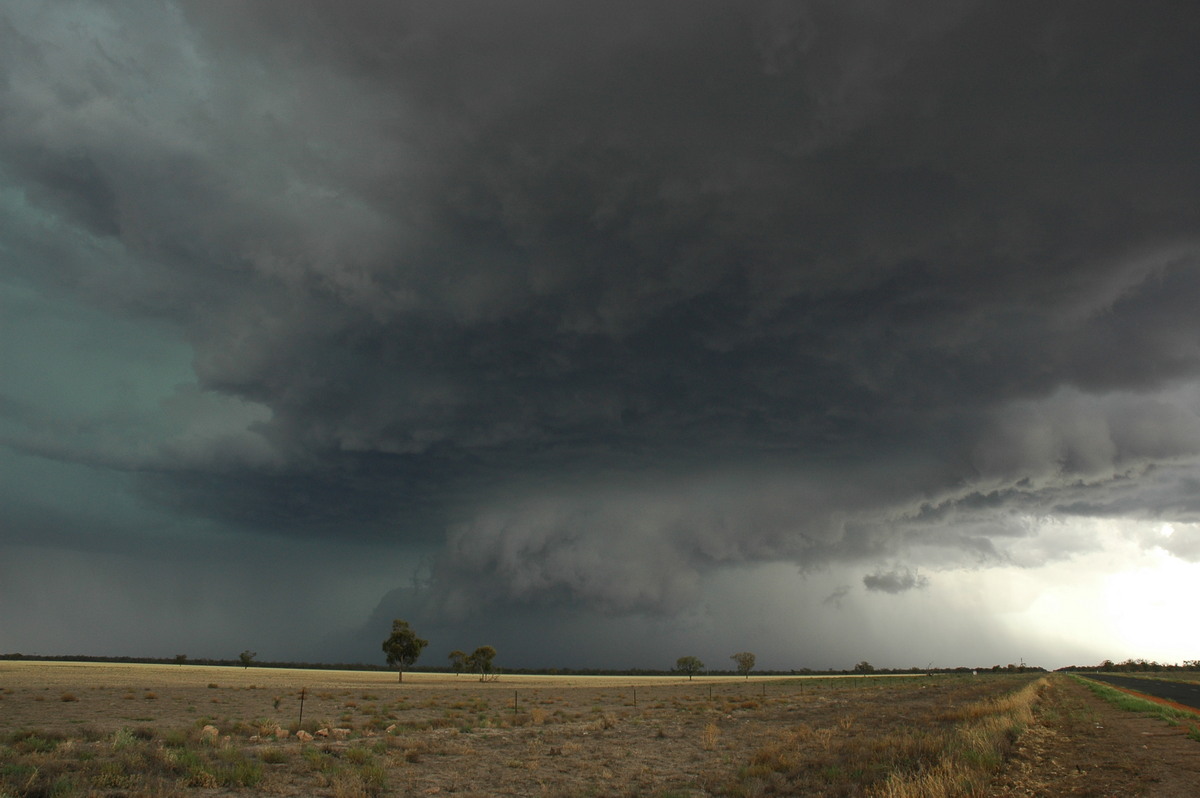 cumulonimbus thunderstorm_base : W of Walgett, NSW   8 December 2004