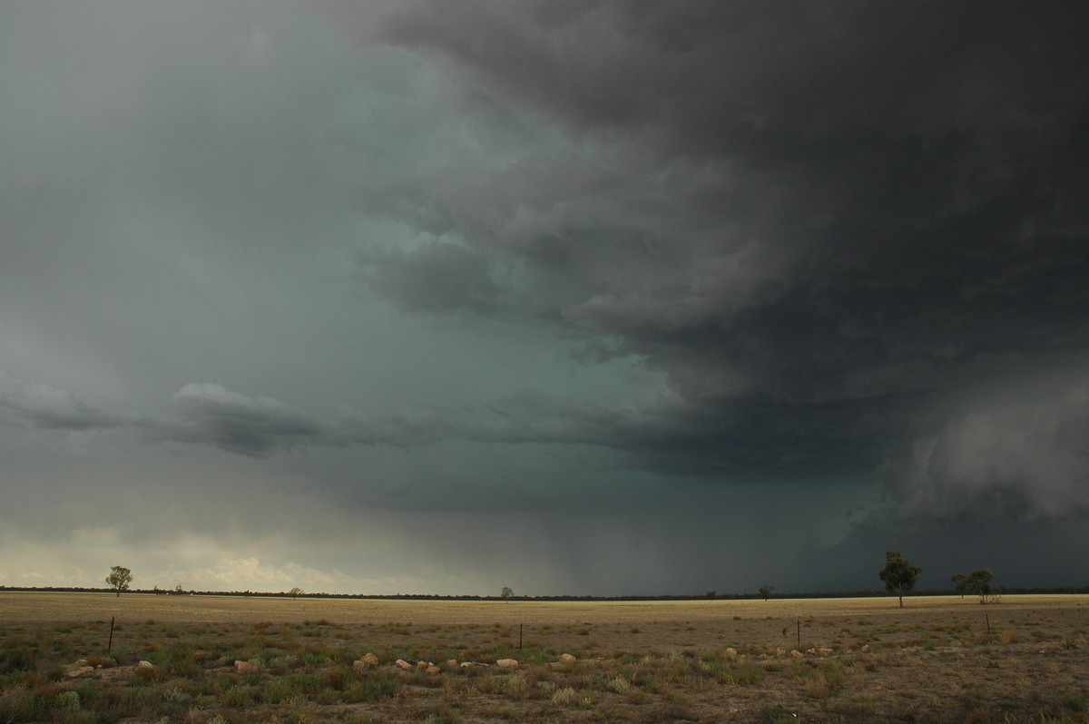 cumulonimbus thunderstorm_base : W of Walgett, NSW   8 December 2004