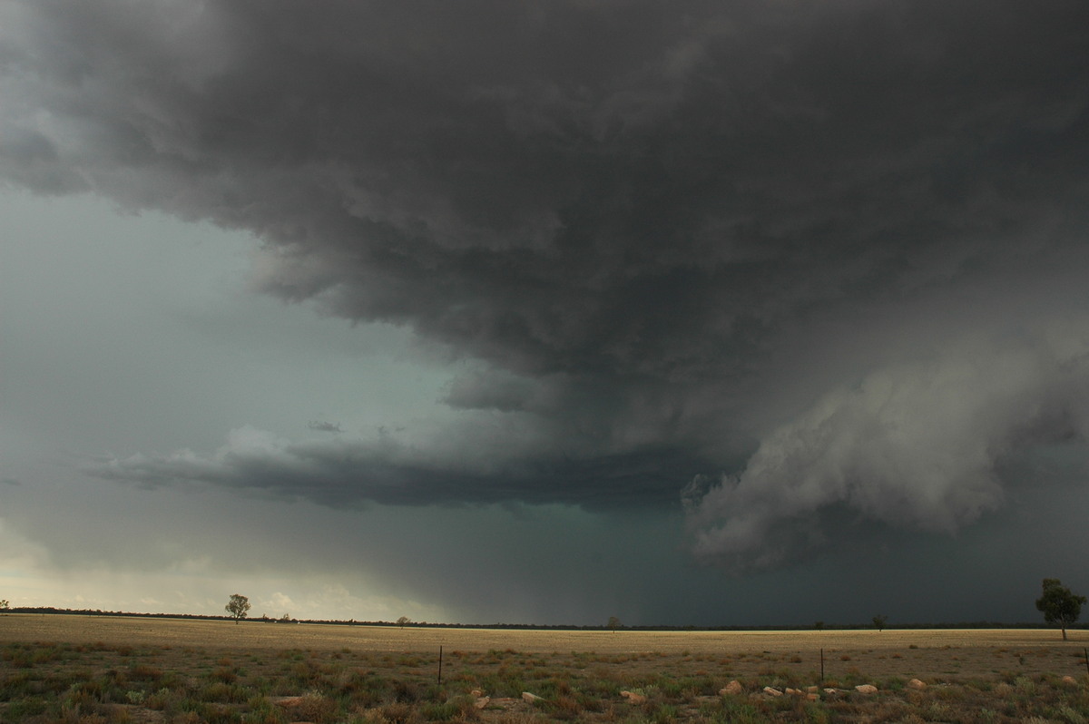 cumulonimbus thunderstorm_base : W of Walgett, NSW   8 December 2004