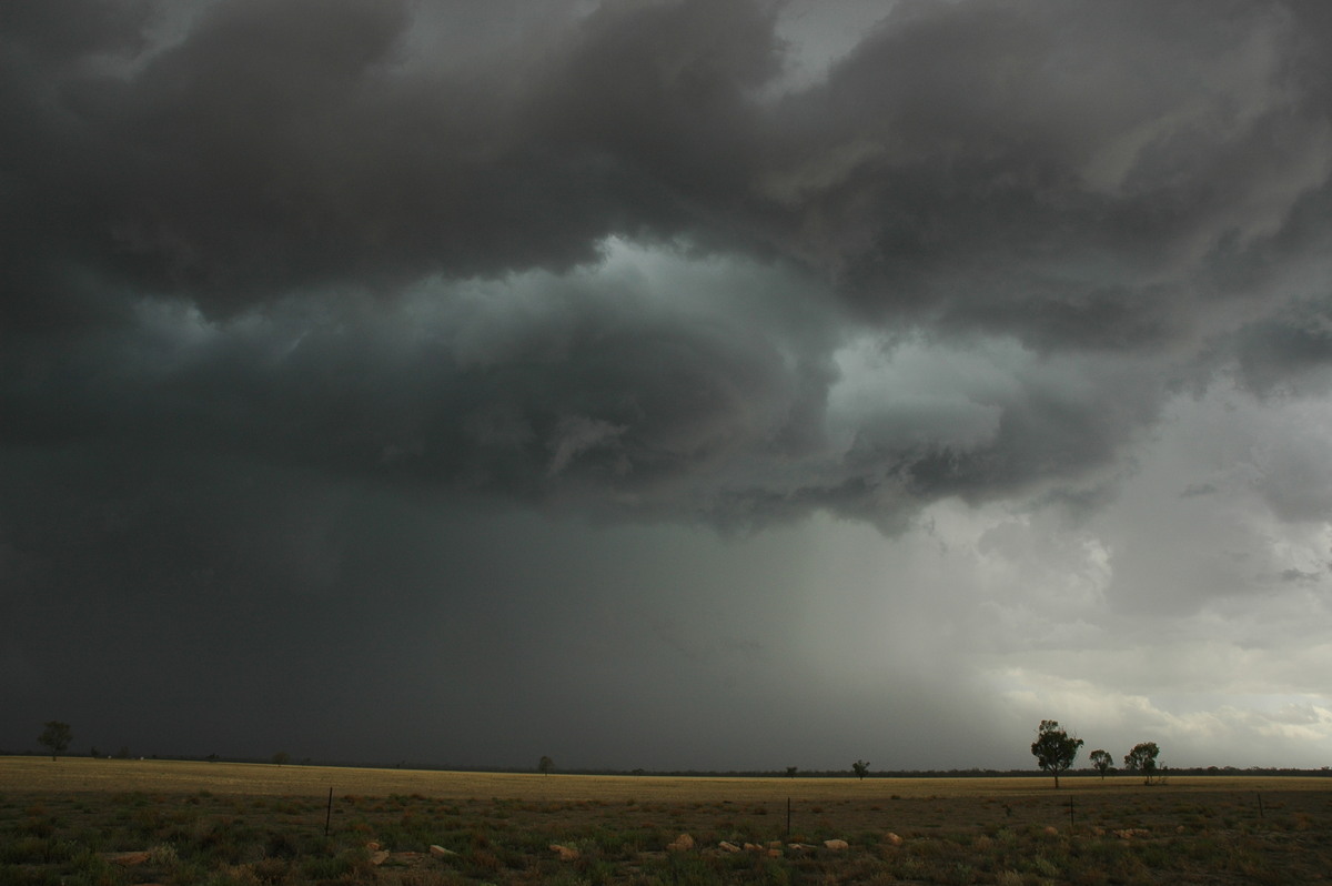 cumulonimbus thunderstorm_base : W of Walgett, NSW   8 December 2004