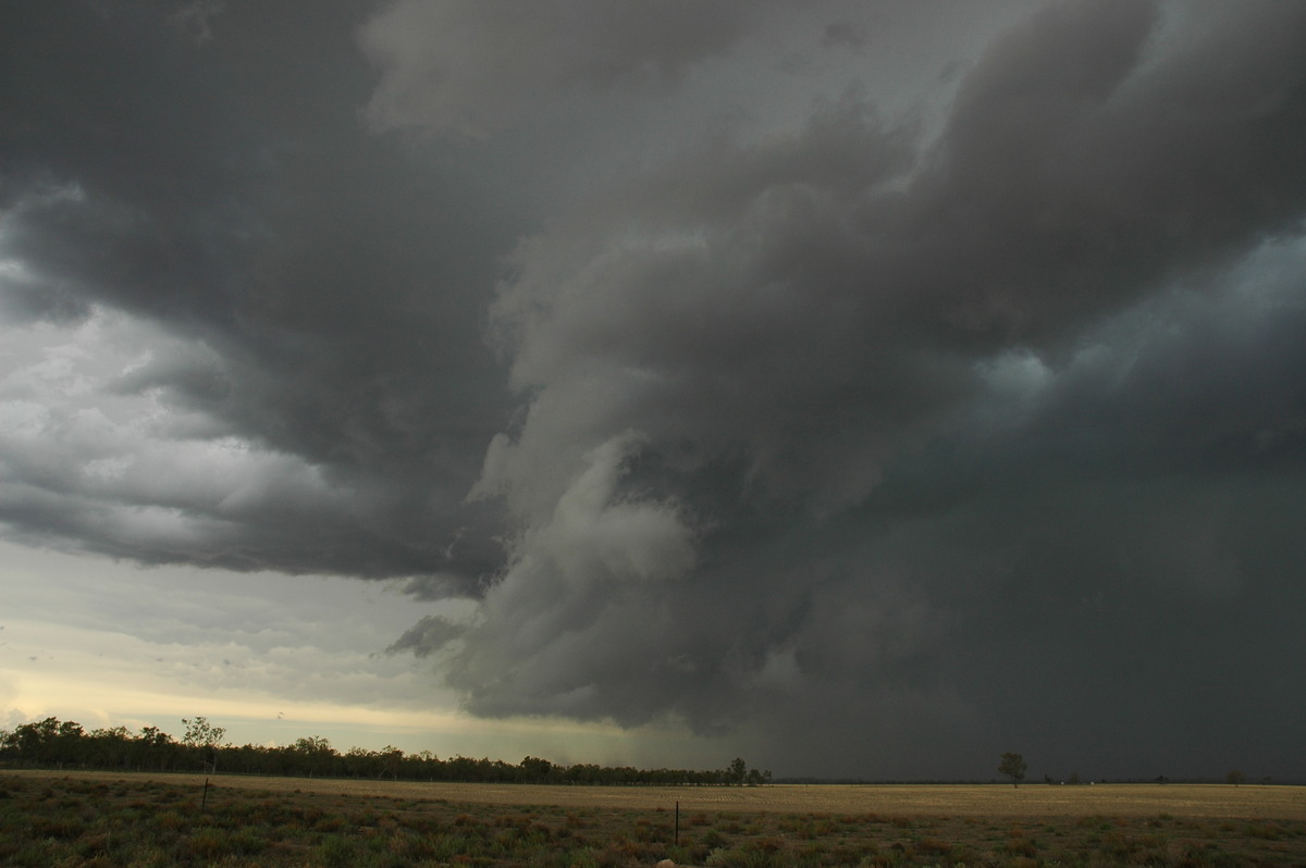 cumulonimbus thunderstorm_base : W of Walgett, NSW   8 December 2004