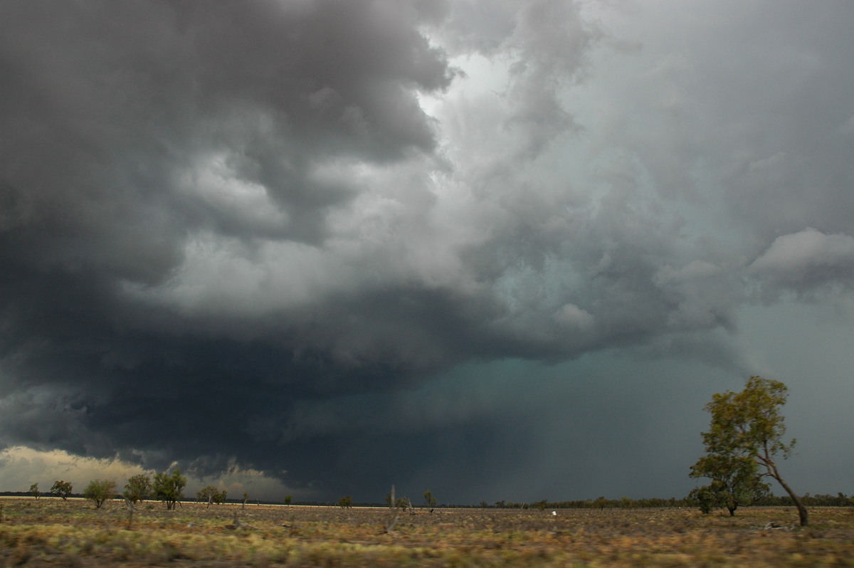 cumulonimbus thunderstorm_base : W of Walgett, NSW   8 December 2004