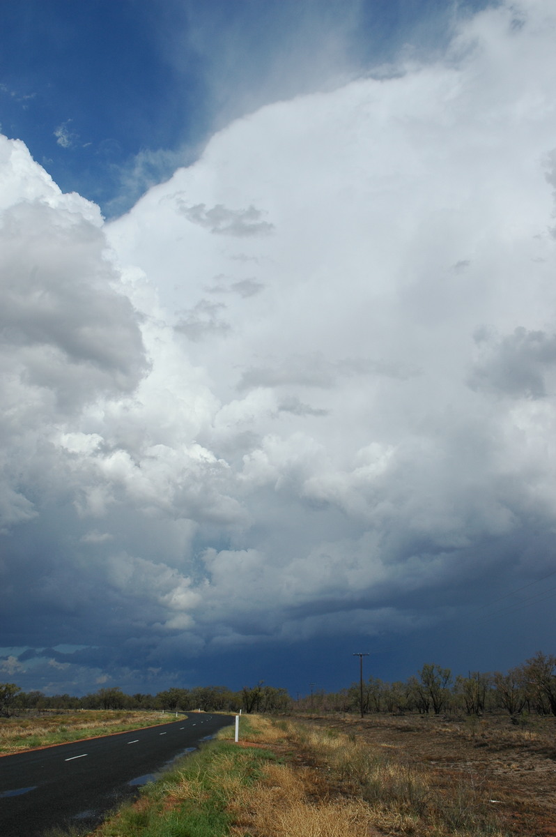 cumulonimbus supercell_thunderstorm : W of Walgett, NSW   8 December 2004